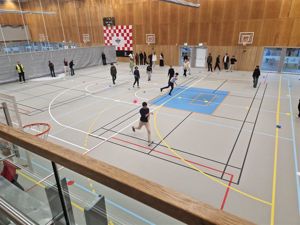 en gruppe mennesker som spiller volleyball