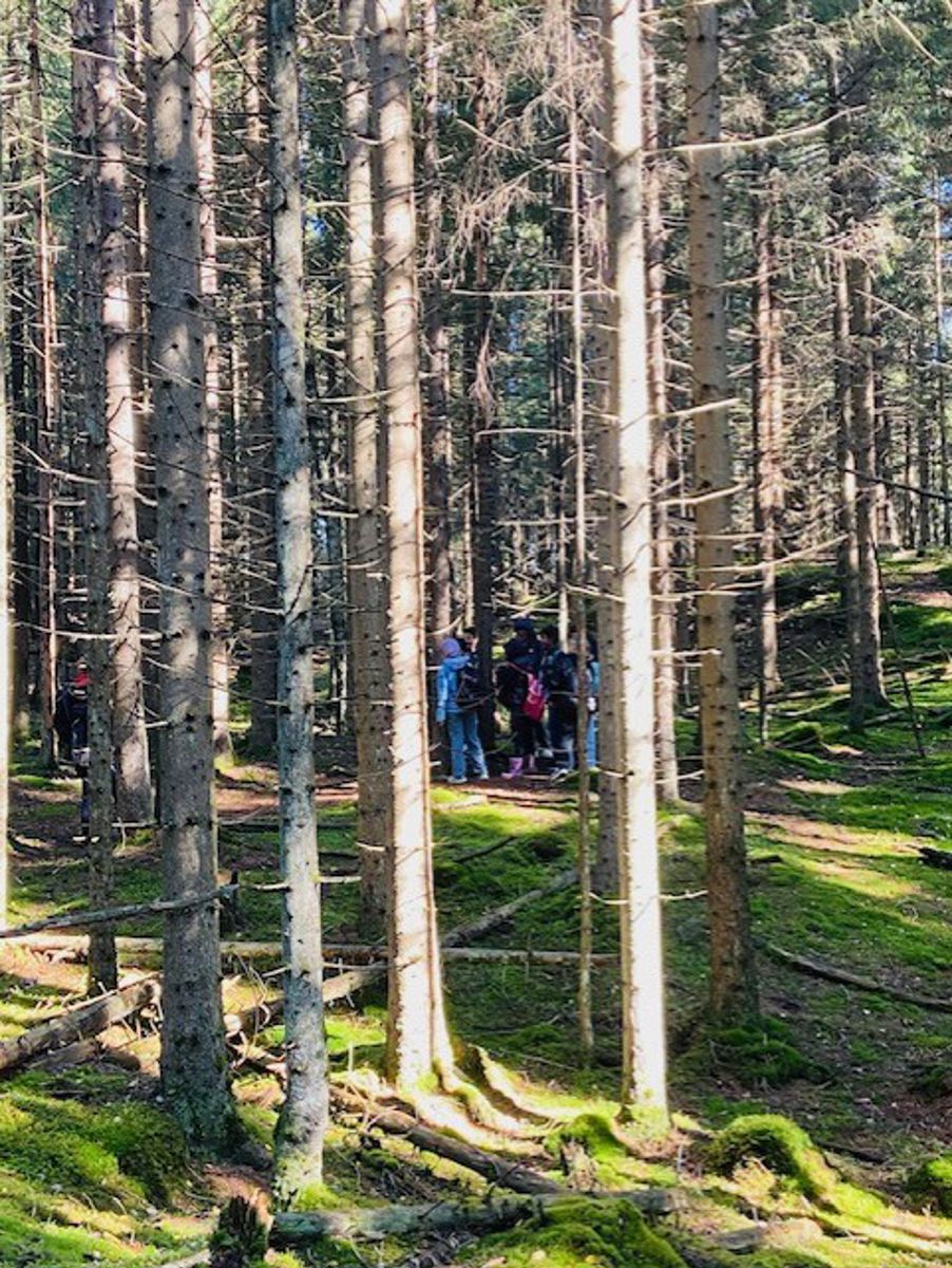 en gruppe mennesker i en skog