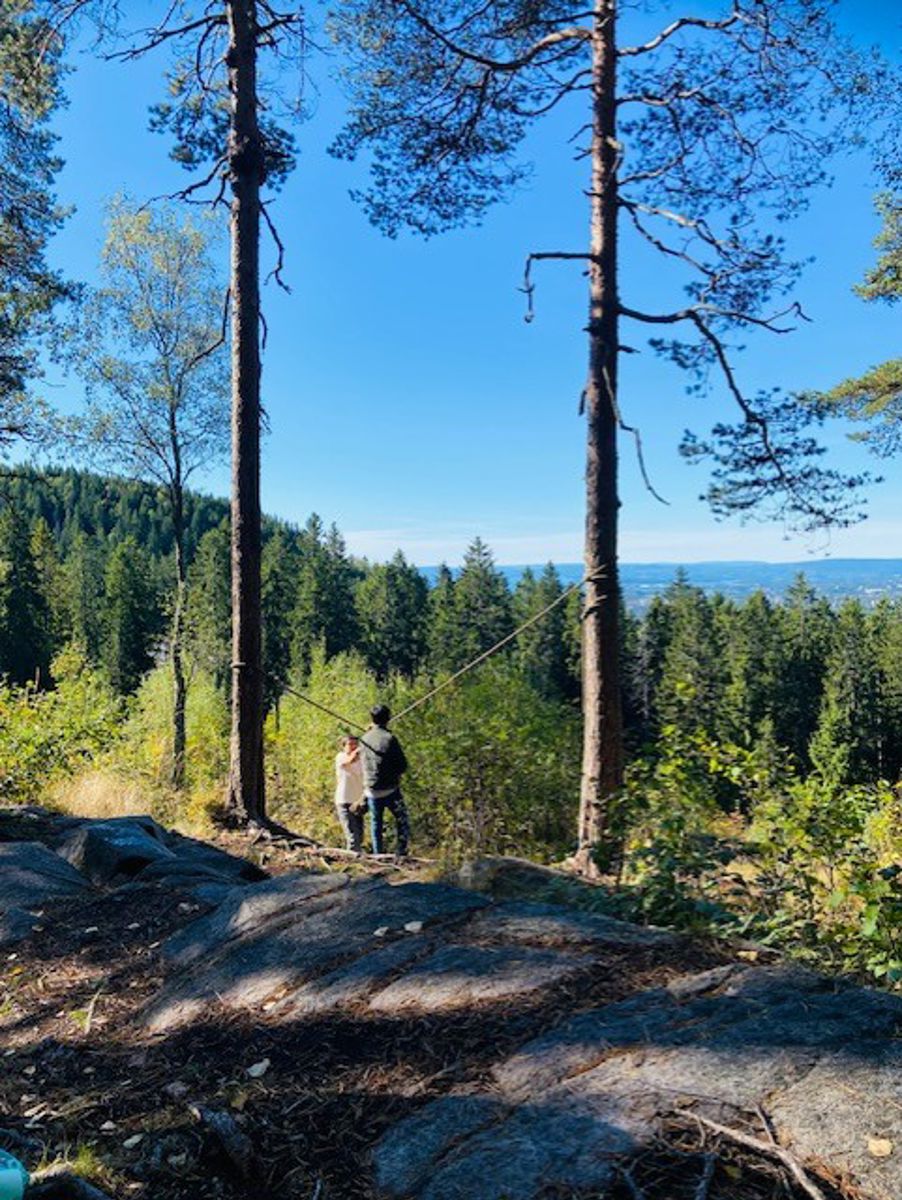 et par personer som står på en stein ved et tre og vann