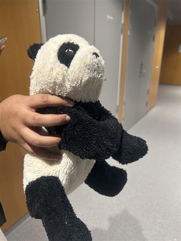 en person som holder et kosedyr