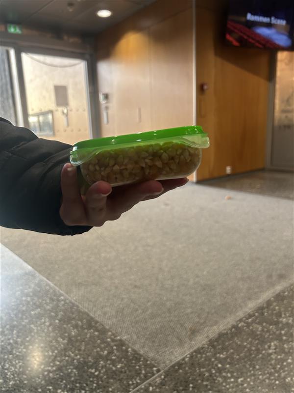 en hånd som holder en vannmelon