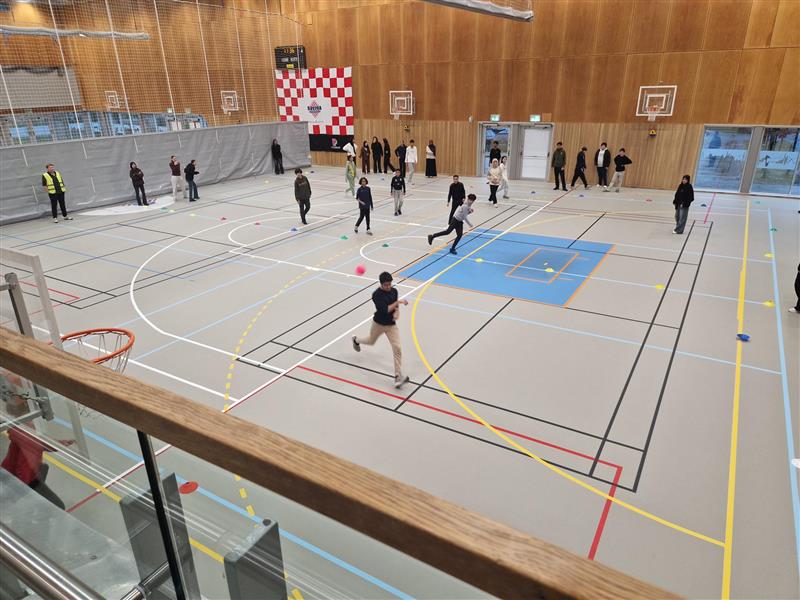 en gruppe mennesker som spiller volleyball