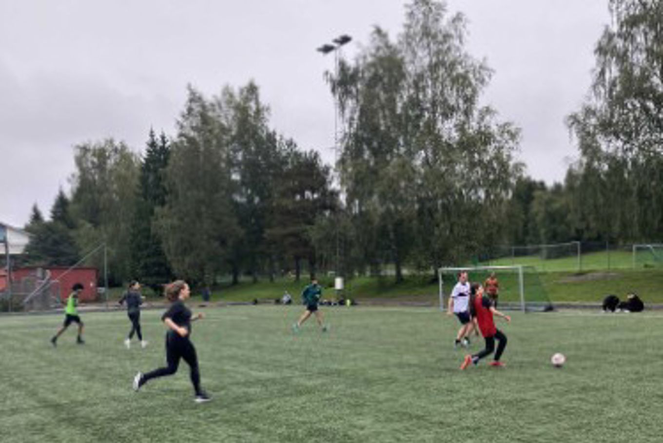 En gruppe mennesker som spiller fotball